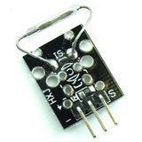 Reed Switch
